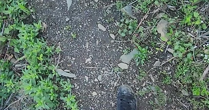 Cumming and Pissing on the Blue Ridge Parkway